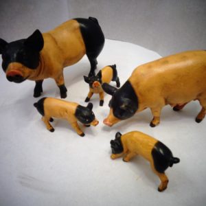 ANIMALI